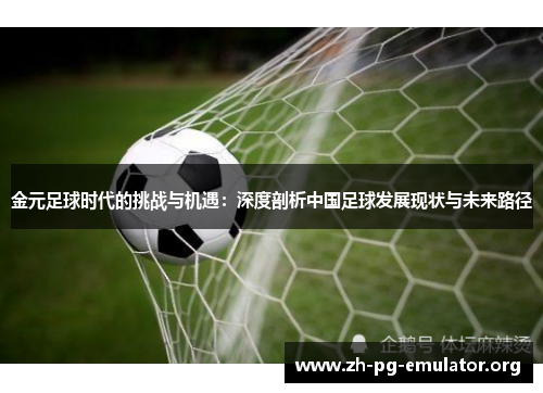 金元足球时代的挑战与机遇：深度剖析中国足球发展现状与未来路径