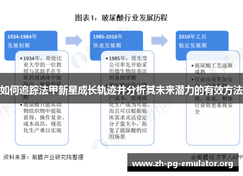 如何追踪法甲新星成长轨迹并分析其未来潜力的有效方法