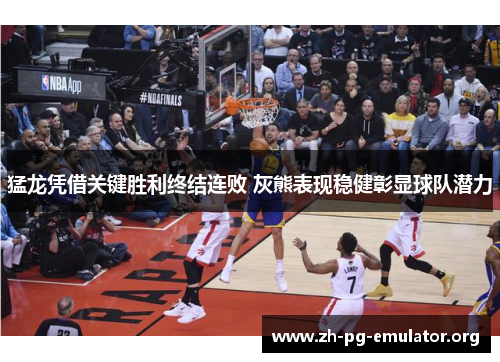 猛龙凭借关键胜利终结连败 灰熊表现稳健彰显球队潜力