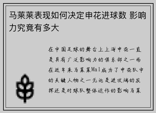 马莱莱表现如何决定申花进球数 影响力究竟有多大