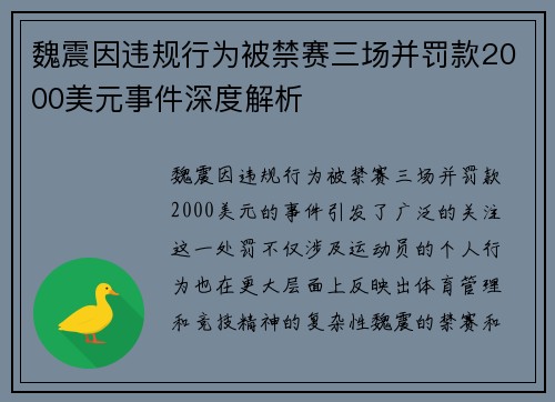 魏震因违规行为被禁赛三场并罚款2000美元事件深度解析